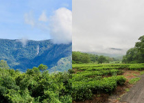 6-Day Eastern Highlands Zimbabwe Bird Safari