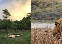 6-Night Zambia Miombo Bird Safari