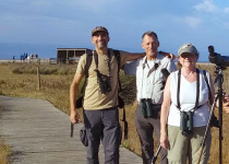 Strait of Gibraltar Raptor Migration Birding Tour