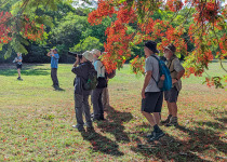 Birding at East Point