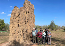 Eagle-Eye Tours birding group at termite mound in Australia