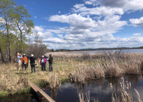 Birding in the Peace Region