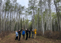 Ultimate British Columbia: Boreal