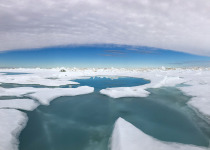 Arctic sea ice and clouds