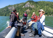 Zodiac cruise, North Vancouver Island
