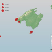 Balearic Shearwater