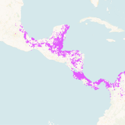 Keel-billed Toucan