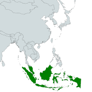 Puff-throated babbler