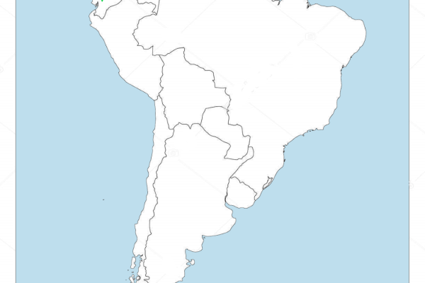 Black-capped Antthrush