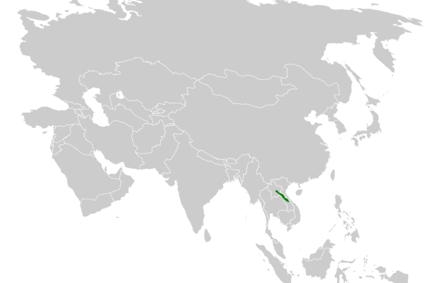 Blue-throated Barbet