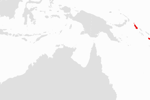 Drowned Fantail