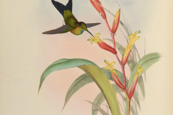 Gould's Jewelfront