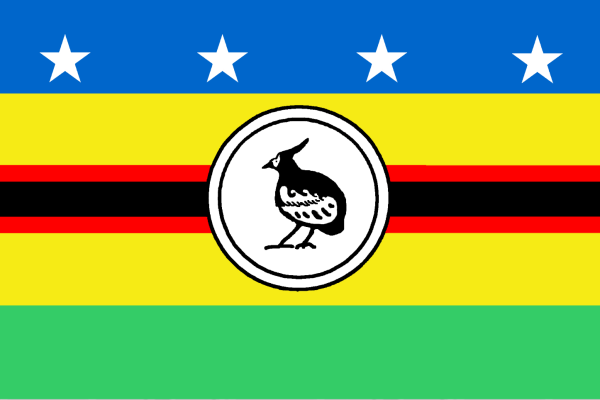 Meek's Pygmy Parrot