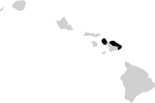 Oahu Nukupu'u