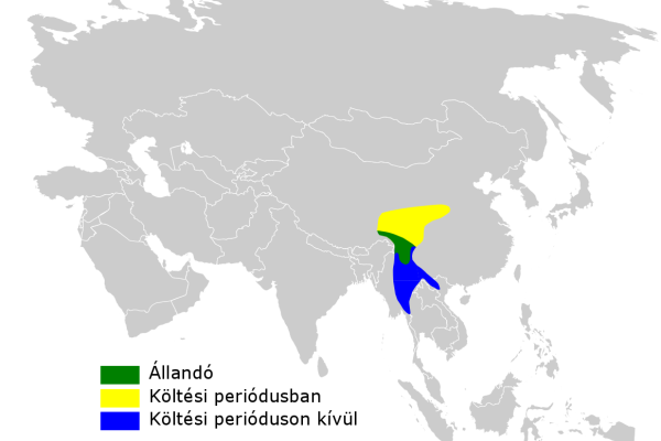 Russet-crowned Warbler