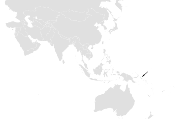 Sichuan bush warbler