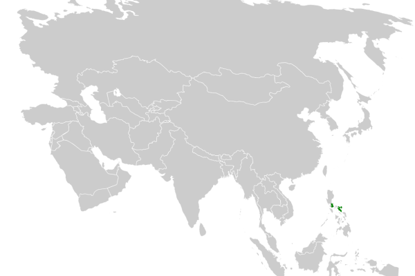 Sorsogon Striped Babbler