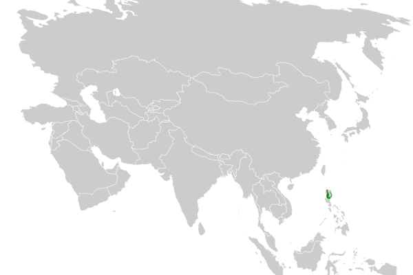 Sunda Bush Warbler