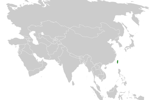 Taiwan Cupwing