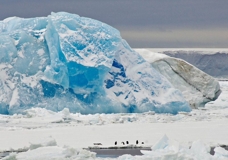Antarctica: Journey to the Circle