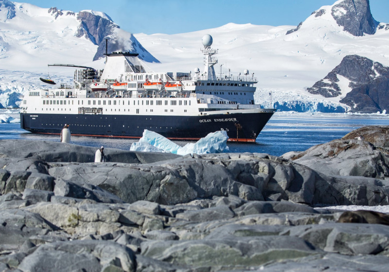 Antarctica Whale Journey