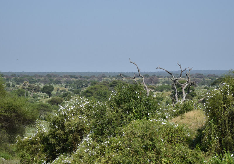 Tour image