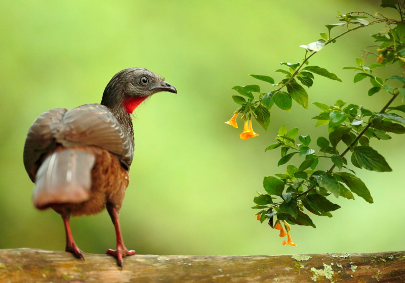 Colombia: Santa Marta