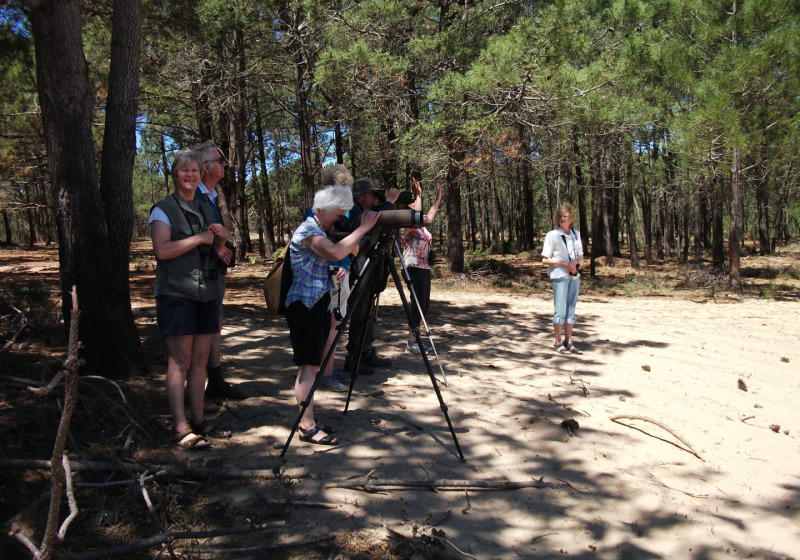 Tour image