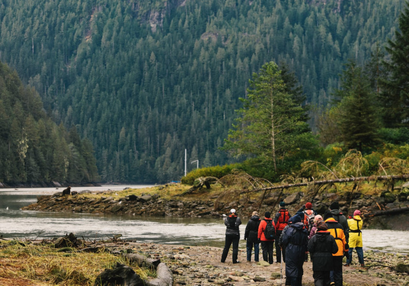 Great Bear Rainforest Sailing