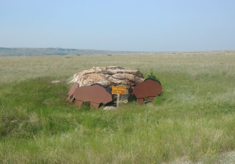Prairie Grasslands Birding Tour