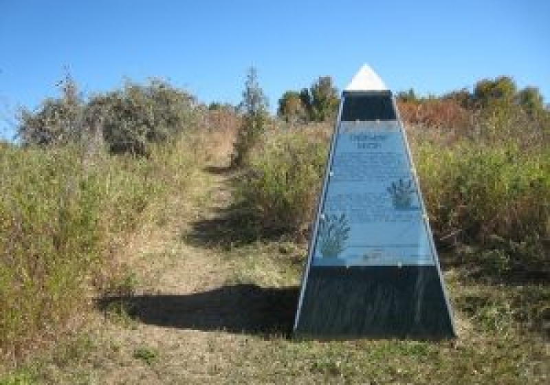 Redberry Lake Bird Sanctuary Tour – 8 hours with fascinating woodland and water birds