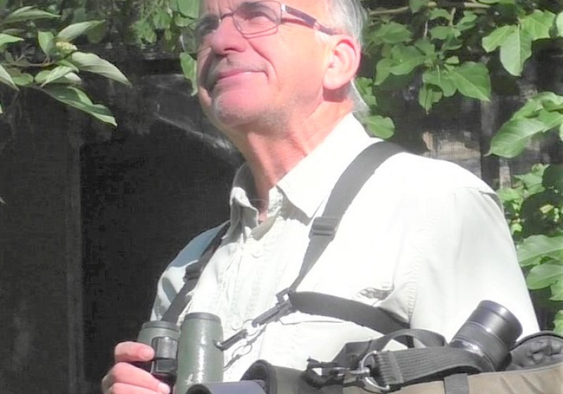 Sprague’s Pipit Viewing Tours – 2026