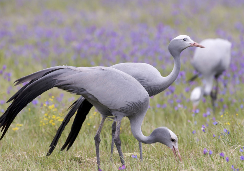 Namibia, Botswana & Victoria Falls