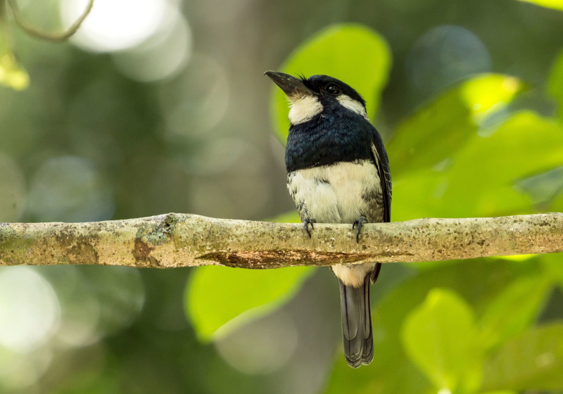Panama: Canal Zone & the Darien