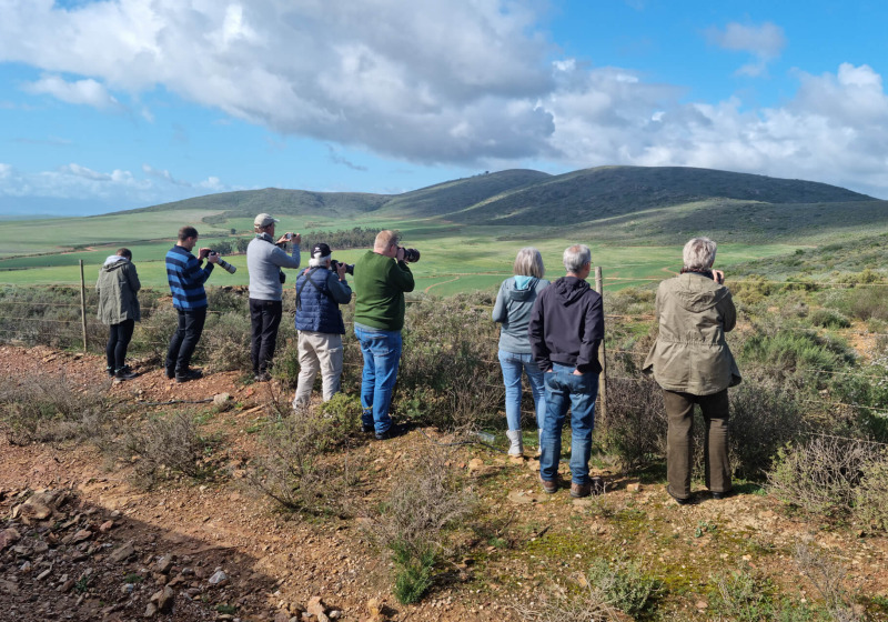 10-Day Western Cape Birding Tour