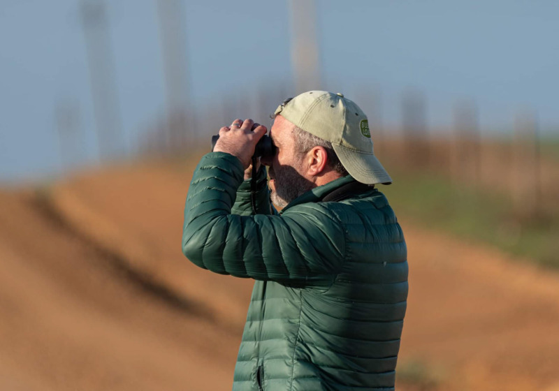 Western Cape Birding Day Trips