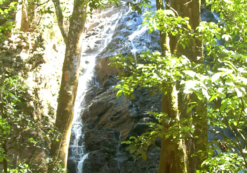 Monteverde Waterfall and Natural History Walk