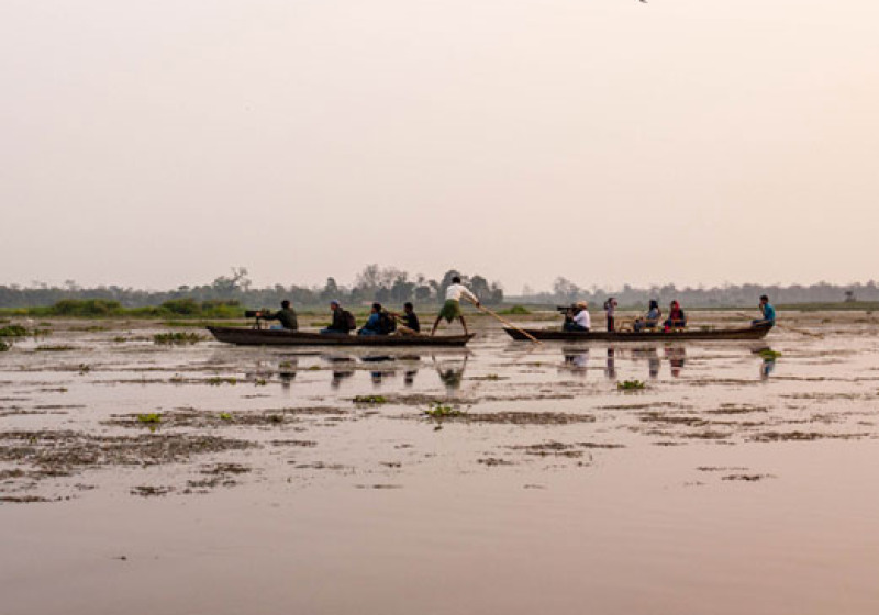 Western Ghats Fixed Departure Birding Tour