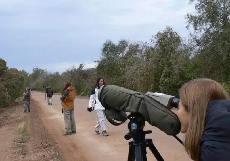 Otamendi Grassland Birding Tour