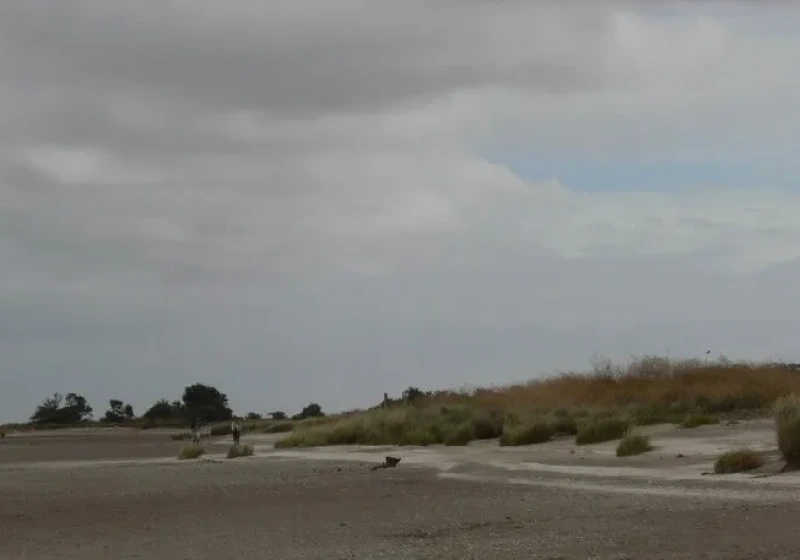 Punta Rasa Birding Tour