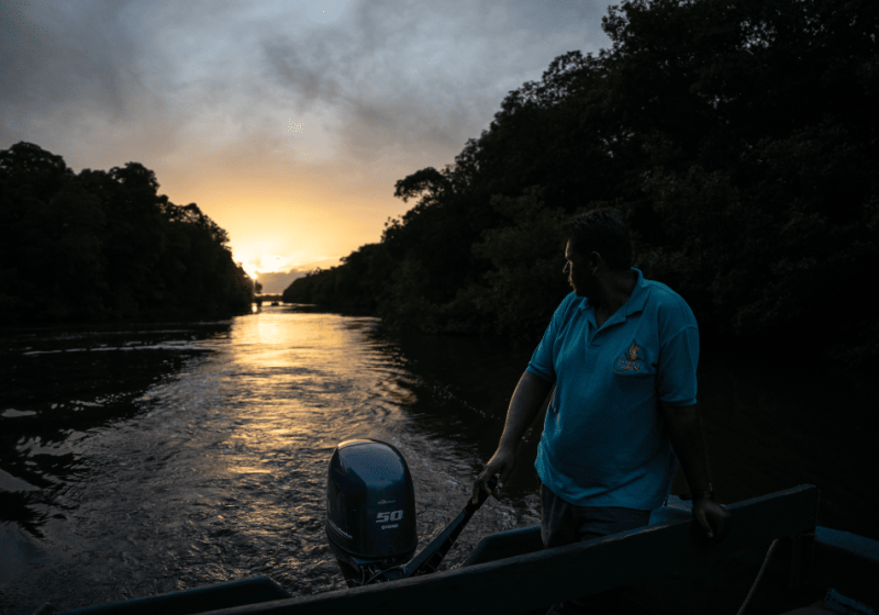 Sunrise Tour of Caroni Bird Sanctuary