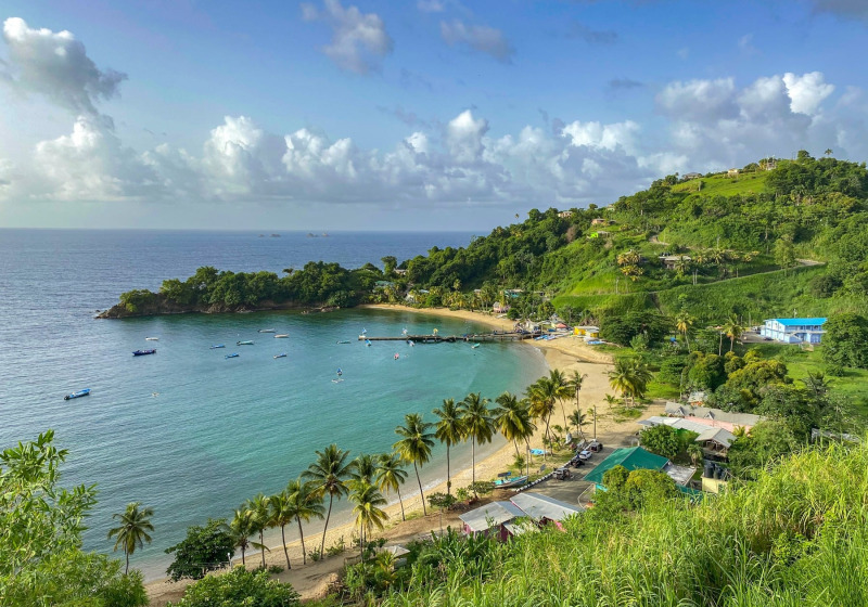 Tobago Caribbean Coast Birding and Nature Tour with Zee