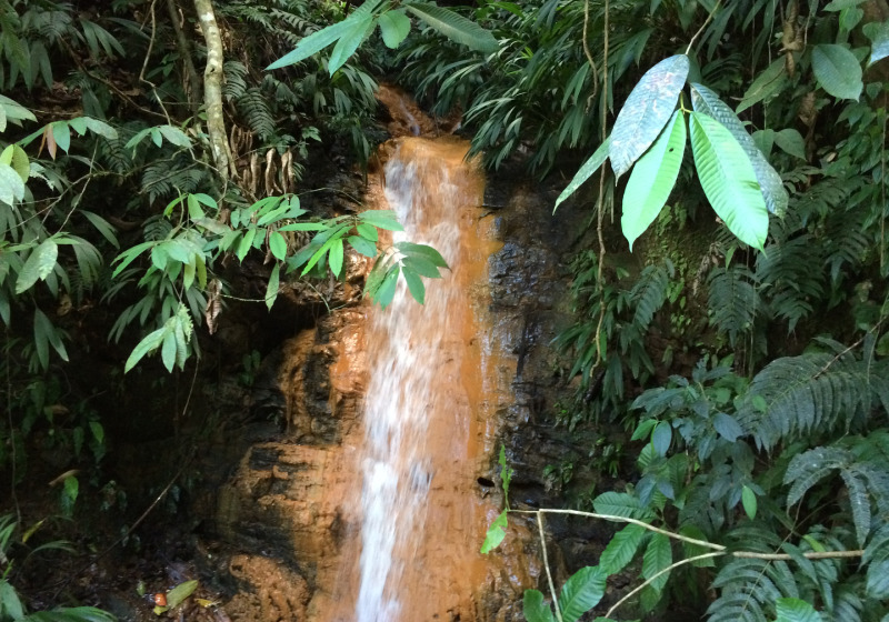 Argyle Waterfalls Nature Tour