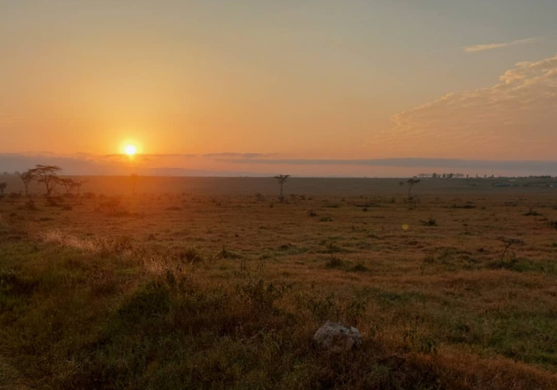 Tanzania Birding and Game Viewing with Johnnie Uganda Safaris