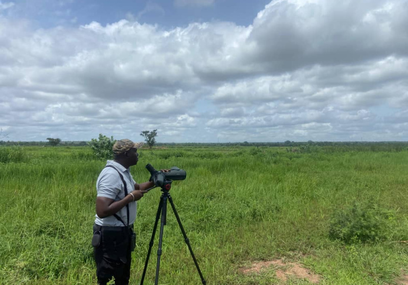 Full-Day Gambia Birdwatching Trips with Turaco Birding