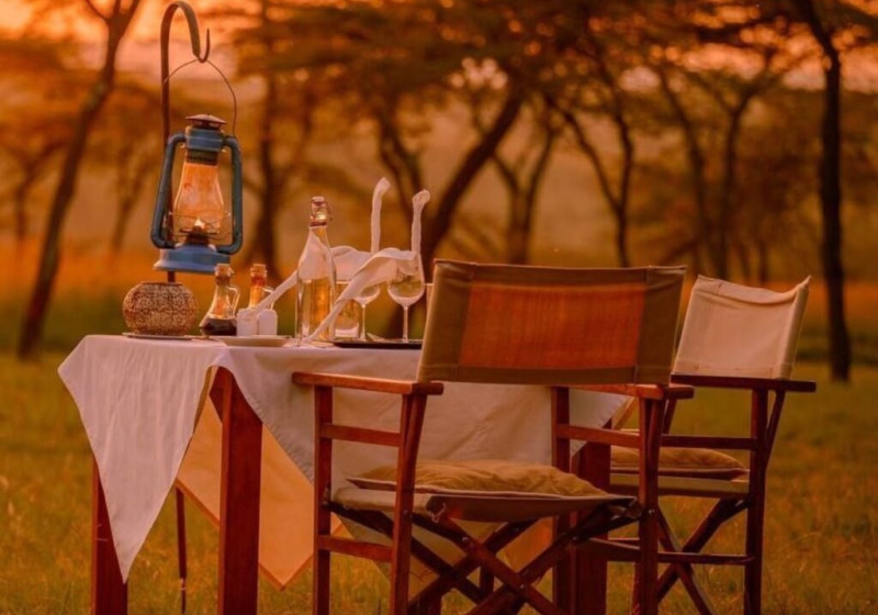 Birds of Northern Tanzania Safari with Oluokos Signature