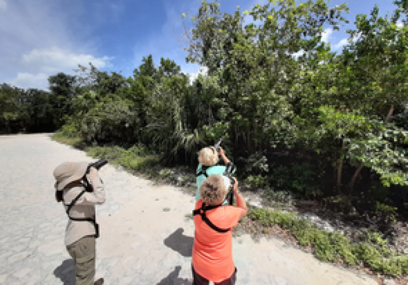 Coba Birding Tour with Lagoon and Ruins