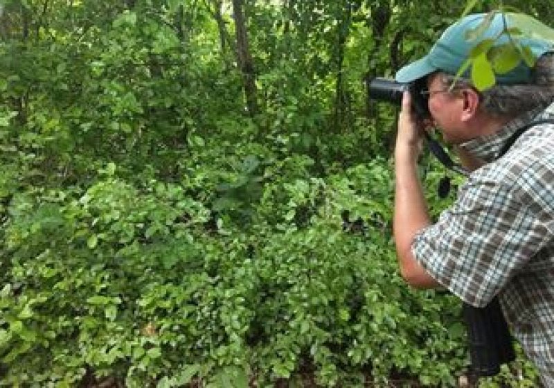 9-Day Yucatan Peninsula Birding Trip