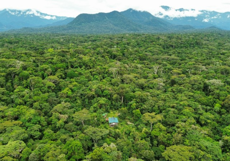 La Isla Escondida Birding Lodge