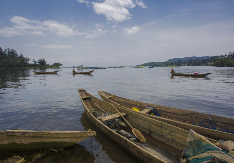 Lake Kivu Shoreline Birding with Roger Irakoze